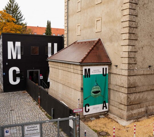 MUCA – Musée d’Art Urbain et Contemporain