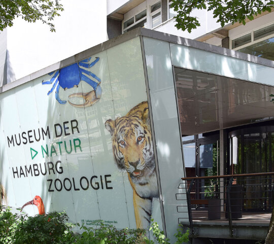 Museu der Natur Hamburgo – Zoologia