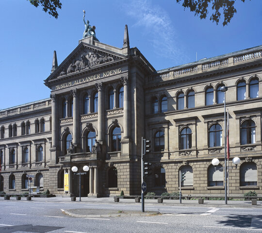 Museo Koenig di Bonn