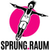 Sprung Raum Holding GmbH