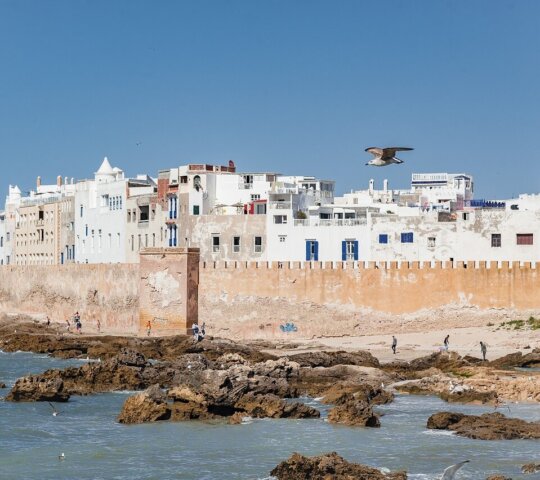 Excursión de un día a Essaouira desde Marrakech